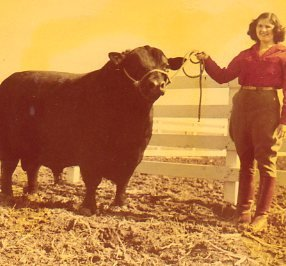 Mom and Steer, Millarden Farms